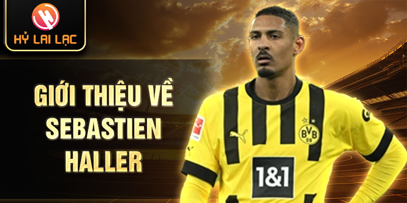 Giới thiệu về sebastien haller