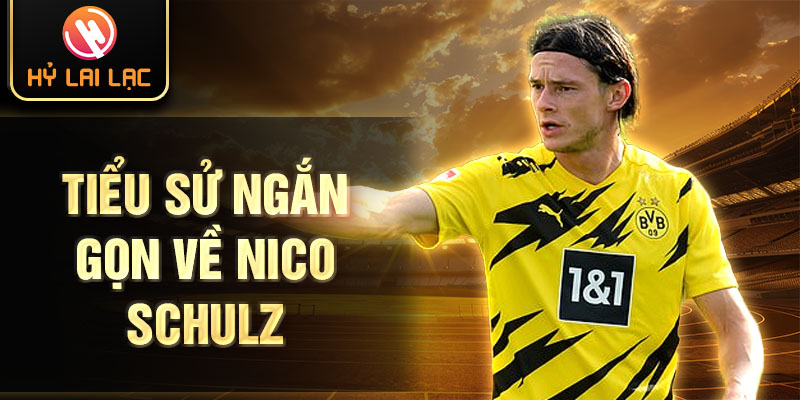 Tiểu sử ngắn gọn về nico schulz