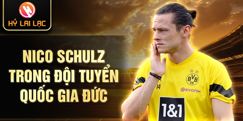 Nico schulz trong đội tuyển quốc gia đức