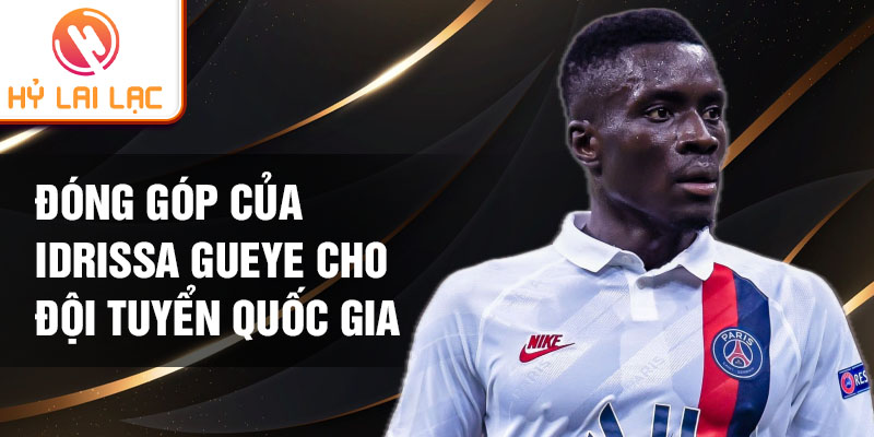 Đóng góp của Idrissa Gueye cho đội tuyển quốc gia