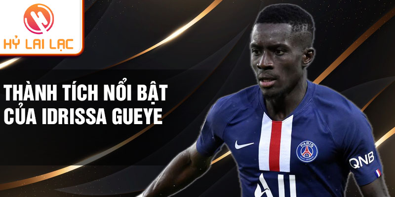 Thành tích nổi bật của Idrissa Gueye