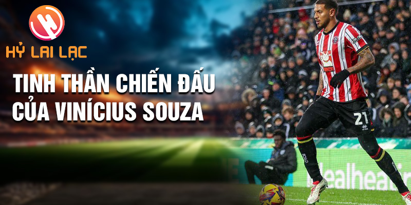 Tiểu sử Vinícius Souza: Tài Năng Mới Nổi Sheffield United 2 Tinh thần chiến đấu của Vinícius Souza