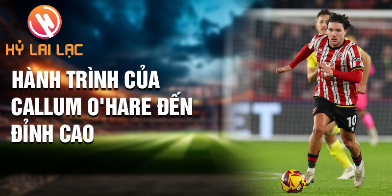 Hành trình của Callum O'Hare đến đỉnh cao